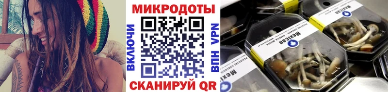 Галлюциногенные грибы Psilocybine cubensis  наркота  Арамиль 